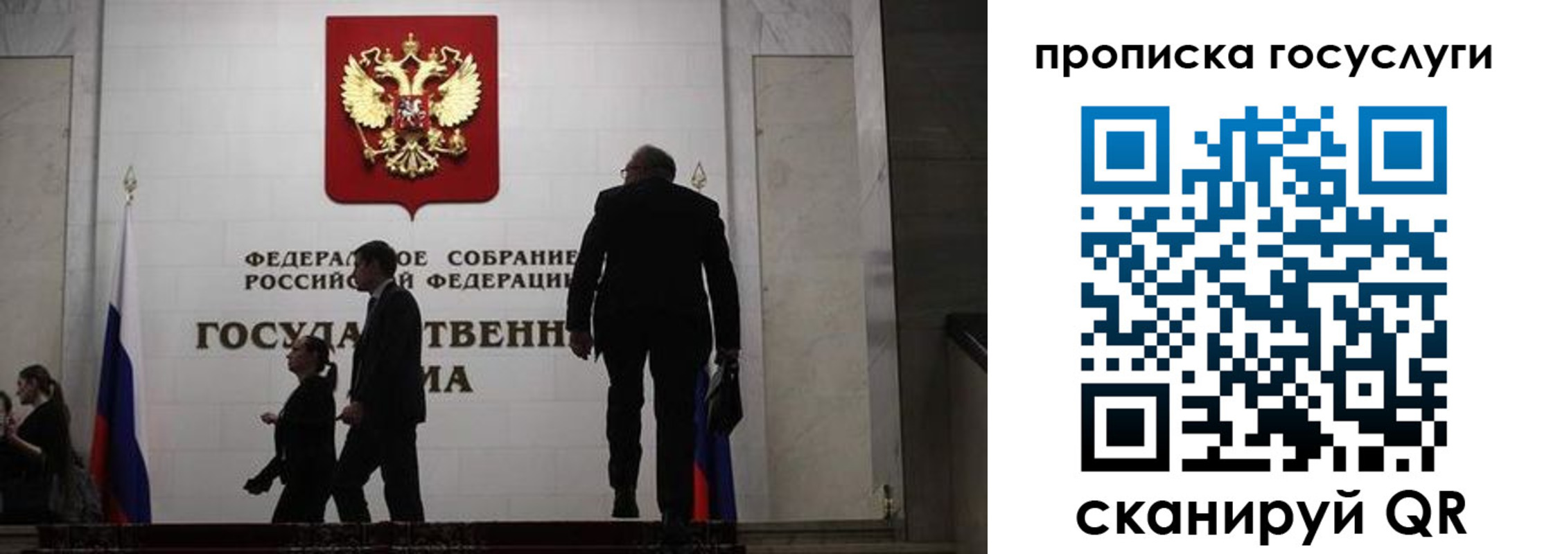 миграционный учет в Светлогорске